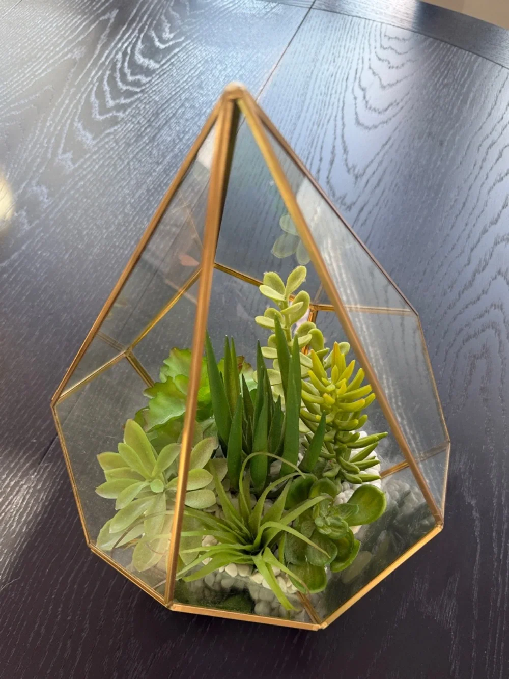 Gold Glass Geometric Terrarium with Green Succulent Arrangement